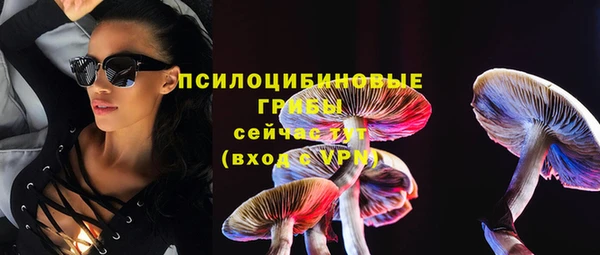 стаф Богородицк