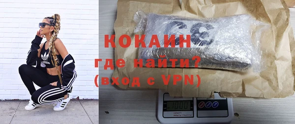 мдпв Богданович